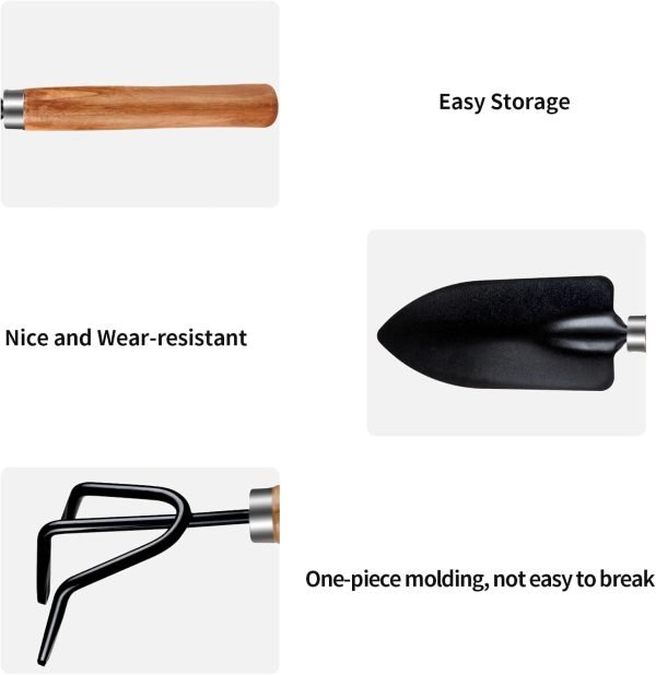 3Pcs Tools Lightweight Duty Tools Gardending Hand Tools Kit for Succulents Home