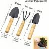 714r2lI-uEL._AC_SL1500_.jpg 3-Piece Mini Tool Set Indoor Plant Care Kit with Wood Handle Black