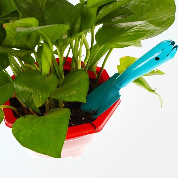 71ayxav9PWL._AC_SL1500_.jpg 4 Pieces 8 Inch Mini Trowel Set Sand Shovels Small Metal Hand