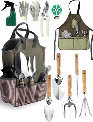 Set 11 PCS Heavy Duty Stainless Steel Tool Kit with Large Tote