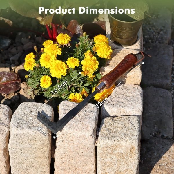 816vj2MI3VL._AC_SL1500_.jpg Duty Crack Weeder Tool Crevice Weeding Tool for Lawns Courtyards and Patio